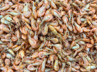 Food background - bunch of fresh shrimp - 448245571