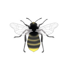 Illustration of a digital bee striped in black and yellow