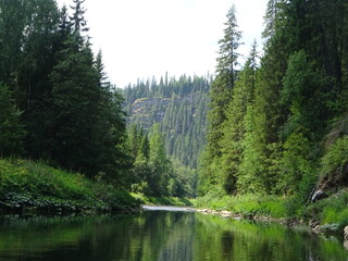 River, forest