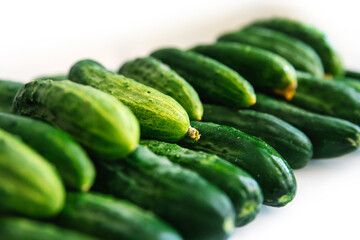Background of green fresh cucumbers. Cucumbers lie exactly in a row on a white background. Agricultural industry.