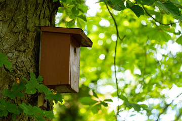 bird house in the garden