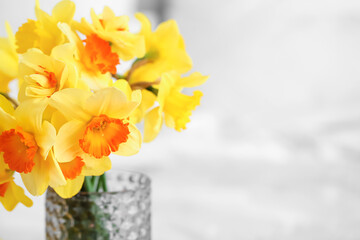 Vase with narcissus flowers, closeup