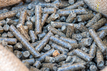 Pellet Production, wood-pellet. Alternative fuel source. Concept Biofuel. Pellets sunflower. pressed sunflower waste