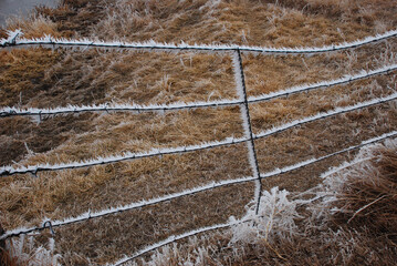 hoar frost on a fence in Wyoming 