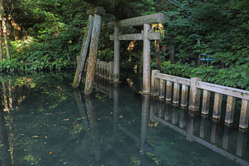 鹿島神宮の御手洗池