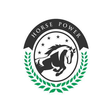 Vintage horse logo with masculine feel
