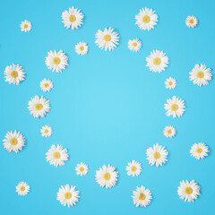 Fototapeta premium Creative spring layout of camomiles on a blue background with a copy space.