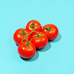 Ripe tomatoes on a branch on a blue background with sharp shadows.