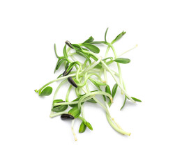 Fototapeta premium Fresh micro green on white background