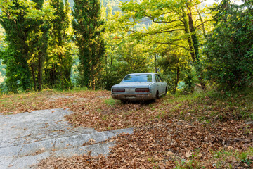 Fototapeta na wymiar Old crashed car in the forest