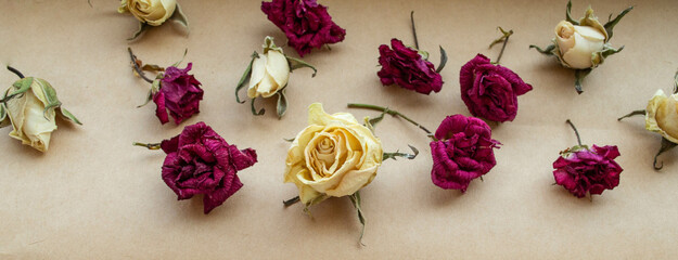 Dry yellow and red roses on craft paper.