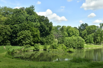 Fototapeta na wymiar Pelouses et bois autour du petit étang au parc de Woluwe à Woluwe-St-Pierre 