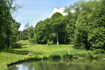 Fototapeta na wymiar Pelouses et bois autour du petit étang au parc de Woluwe à Woluwe-St-Pierre 