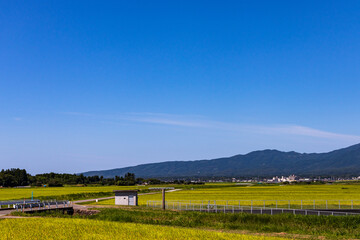 佐渡島　田園風景