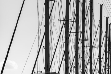 Abstract of catamaran masts in black and white