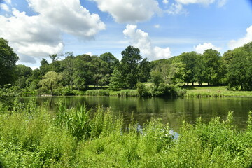 Contraste entre les zones d'ombre et sous les éclaircies au grand étang entouré de végétation luxuriante au parc de Woluwe à Woluwe-St-Pierre 