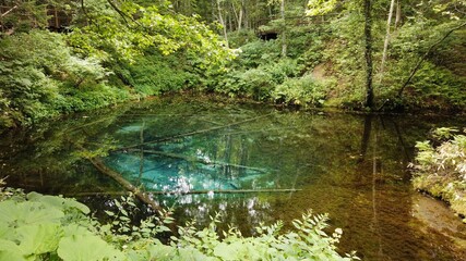 神の子池 阿寒摩周国立公園 北海道