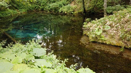 神の子池 阿寒摩周国立公園 北海道