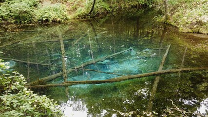 神の子池 阿寒摩周国立公園 北海道