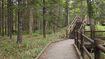 Obraz premium 神の子池 阿寒摩周国立公園 北海道