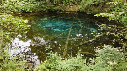 神の子池 阿寒摩周国立公園 北海道