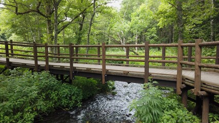 神の子池 阿寒摩周国立公園 北海道