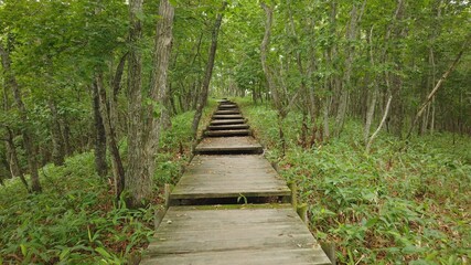 北斗展望台園地 釧路湿原国立公園 釧路市湿原展望台 サテライト展望台 釧路湿原展望遊歩道 釧路湿原探勝路 ラムサール条約 北海道