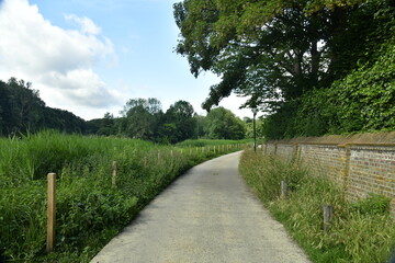 Fototapeta na wymiar Chemin en pavés entre un vieux mur et les fougères au parc des Etangs de Boitsfort à Watermael-Boitsfort 
