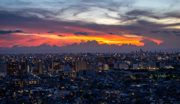 tokyo night
