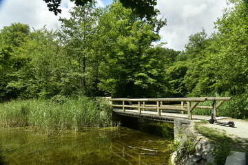Fototapeta na wymiar Petit pont en bois reliant l'une des iles aux Etangs des Enfants Noyés à Watermael-Boitsfort 