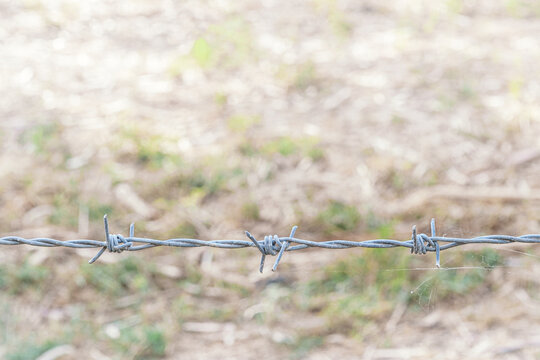 abstract minimalist background barbed wire close up