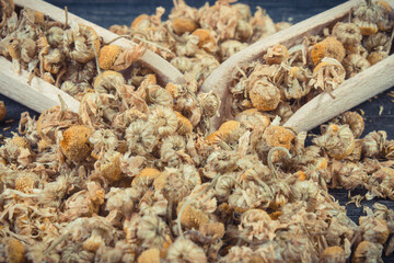 Healthy chamomile containing vitamins and minerals. Herbalism and alternative medicine