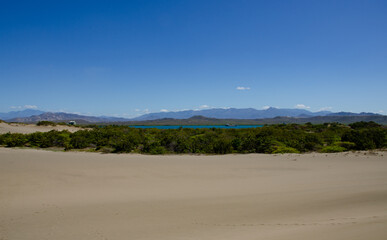 sand dunes in the desert