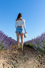 Full body portrait of a young woman view from behind in a blooming lavender field. Ant eye view....