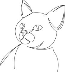 cat