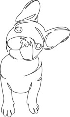 dog bulldog french