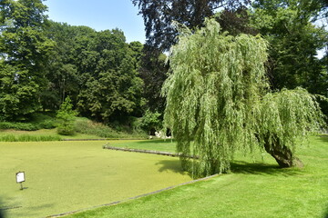 Fototapeta na wymiar L'étang couvert de micro-organismes verts dû à la chaleur dans un environnement bucolique au parc des Trois Fontaines à Vilvoorde 