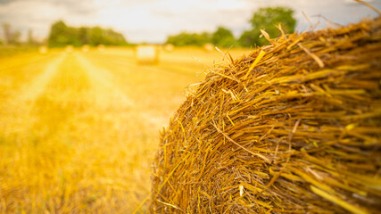 Strohballen auf einem Acker nach der Ernte