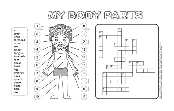 Beautiful Little Girl and Crossword Puzzle My Body Parts. An Educational Game, for Lesson Biology in a Cartoon style. Black and white color. A Page for Printing, a Workbook. Vector illustration.