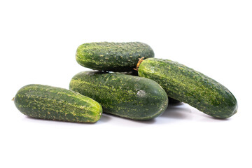 Ashley cucumbers variety