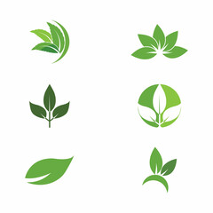 Leaf and Shutter Lens Aperture for Nature Photographer logo design inspiration