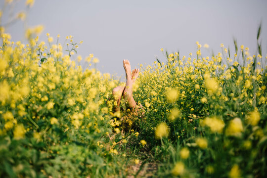 legs up on a yellow flowers field