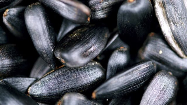 Black sunflower seeds in shell top view. Healthy source of vitamins in vegan food.