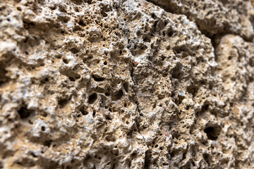Porous building stones