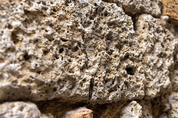porous stone close up