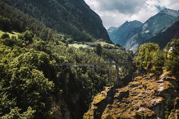 Fototapeta na wymiar bridge over a gorge in the mountains of switzerland. Forest in Swiss Alps