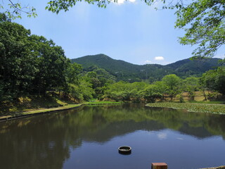 宇和運動公園王子池(愛媛県西予市)