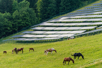 Solar park, alpine meadow, pasture and grazing horses with alpine mountains in the background. Solar panels in a rural landscape in the summer Alps. Sustainable development of global solar energy. - obrazy, fototapety, plakaty