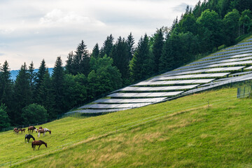 Solar park, alpine meadow, pasture and grazing horses with alpine mountains in the background....