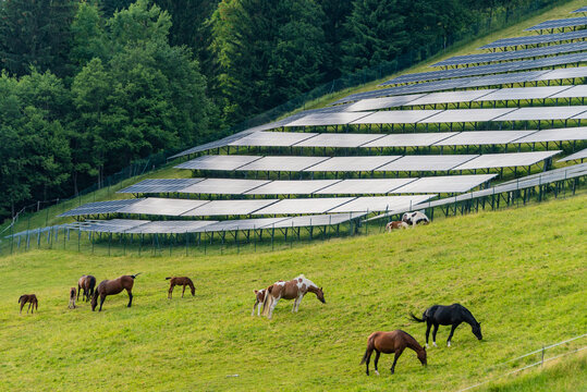 Solar park, alpine meadow, pasture and grazing horses with alpine mountains in the background. Solar panels in a rural landscape in the summer Alps. Sustainable development of global solar energy.